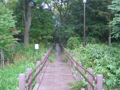 清田緑地の木橋