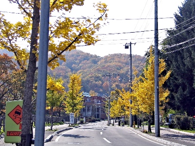 菊水旭山公園通