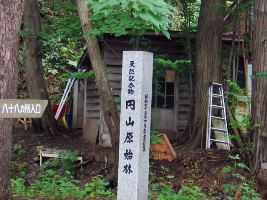 円山原始林碑